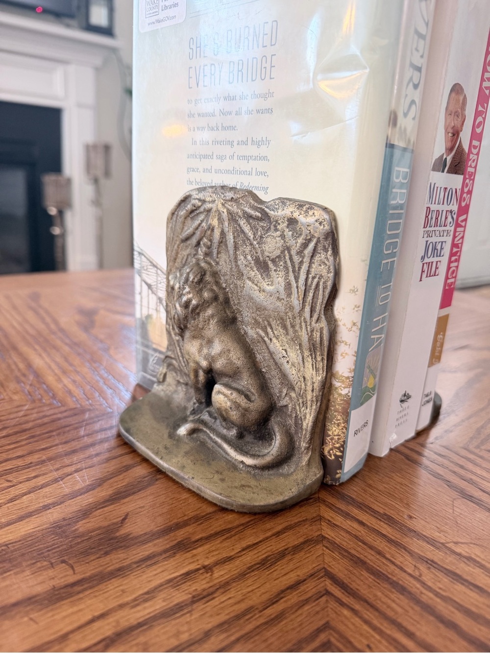 Set of Vintage Bronze Lion Bookends